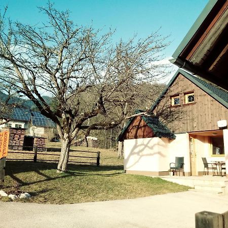 Villa Apartma Hiska Korosec à Bohinj Extérieur photo