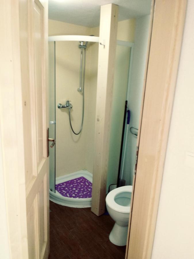 Apartma Hiska Korosec Bohinj Extérieur photo